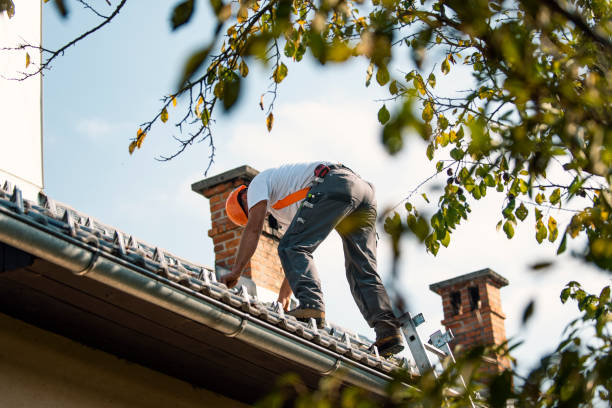 Best Residential Roofing Contractor  in Wautoma, WI