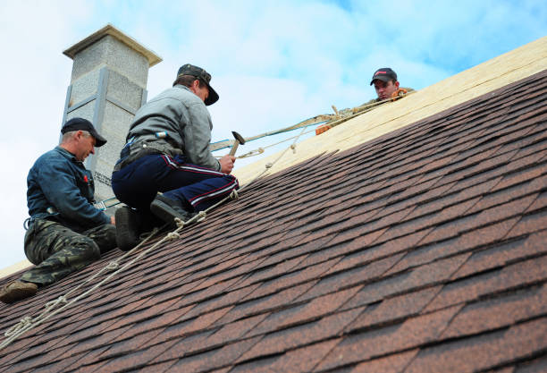 Best Residential Roofing Contractor  in Wautoma, WI